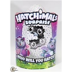HATCHIMALS SURPRISE.