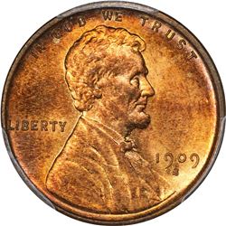 1909-S V.D.B. Genuine – Questionable Color – Uncirculated Details PCGS