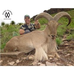 Double Diamond West Texas Free Range Aoudad Hunt