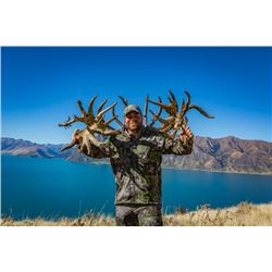 New Zealand Red Stag with Glen Dene