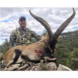 Spain Becite Ibex Management Hunt