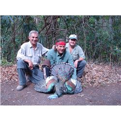 Balam Mexico Jungle Hunt