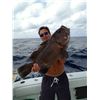 Image 4 : Voodoo Fishing Charters Deep Sea fishing Trip for 6
