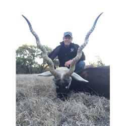 Darter Sky Ranch Texas Blackbuck Hunt with Shoulder Mount