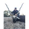 Image 1 : Darter Sky Ranch Texas Blackbuck Hunt with Shoulder Mount