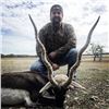 Image 2 : Darter Sky Ranch Texas Blackbuck Hunt with Shoulder Mount