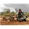 Image 2 : El Chapparral Mexico Mule Deer