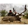 Image 3 : El Chapparral Mexico Mule Deer
