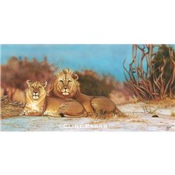 Artist Print Proof on Canvas