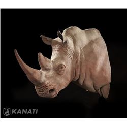Rhino Replica Shoulder Mount