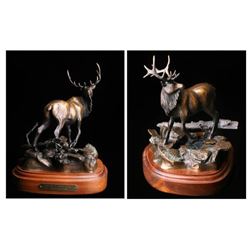 Artwork - Bronze Sculpture