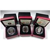 Image 2 : RCM - Lot of 3