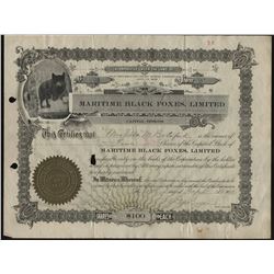 Maritime Black Foxes Company Stock Certificate