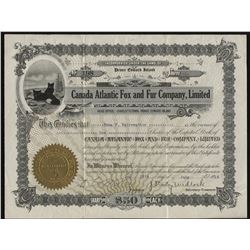 Canada Atlantic Fox and Fur Company Stock Certificate