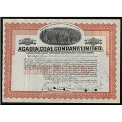 Acadia Coal Co. Ltd. Stock Certificate