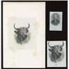 Image 2 : Merchants Bank of Canada, die proof vignettes:
