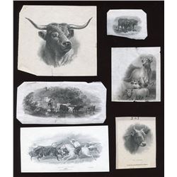 Die Proof Vignettes:  Cattle.