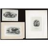 Image 2 : Die Proof Vignettes:  Cattle.
