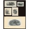 Image 1 : Die Proof Vignettes:  Wildlife