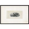 Image 2 : Die Proof Vignettes:  Wildlife