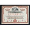 Image 1 : Selection of Eight Specimen Financial Documents