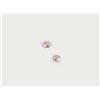 Image 1 : A Pair of Earrings      