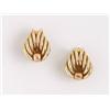 Image 1 : A Pair of Earrings   