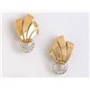 Image 1 : A Pair of Earrings       