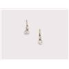 Image 1 : A Pair of Earrings       