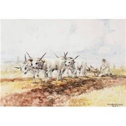 Zórád, Erno        Balassagyarmat, 1911 - ,  Ploughing      