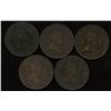 Image 2 : 1907H Edward VII Large Cents - Lot of 5