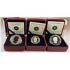 Image 2 : 2012 RCM - Lot of 3