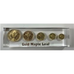 Gold Maple Leaf Uniface Lucite Replica Set from the Royal Canadian Mint