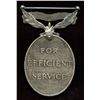 Image 2 : Efficiency Silver Medal