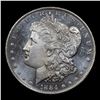 Image 2 : ***Auction Highlight*** 1884-o Morgan Dollar $1 Graded Choice Unc+ DMPL By USCG (fc)