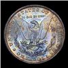 Image 3 : 1899-o Morgan Dollar $1 Grades GEM+ Unc