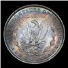 Image 3 : 1883-o Rainbow Toned Morgan Dollar $1 Grades Choice+ Unc