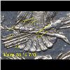 Image 6 : ***Auction Highlight*** 1878-p 7/8tf Vam 31 7/0 Morgan Dollar $1 Graded Select Unc+ DMPL By USCG (fc