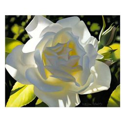 Brian Davis, "Divine White Rose" Limited Edition Giclee on Canvas, Numbered and Hand Signed with COA