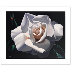 "French Lace Rose With One Bud" Limited Edition Giclee by Brian Davis, Numbered and Hand Signed with