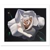 Image 1 : "French Lace Rose With One Bud" Limited Edition Giclee by Brian Davis, Numbered and Hand Signed with