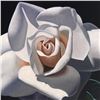 Image 2 : "French Lace Rose With One Bud" Limited Edition Giclee by Brian Davis, Numbered and Hand Signed with