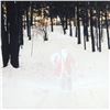 Image 2 : Robert Sheer, "Santa Spirit" Limited Edition Single Exposure Photograph, Numbered and Hand Signed wi