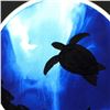 Image 2 : Wyland -Turtle (Blue) Framed Original Watercolor Painting, Hand Signed with Certificate!