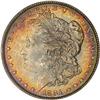 Lot 42 - 1881 Morgan Dollar PCGS MS65