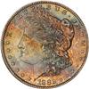 Image 1 : Lot 83 - 1882-S Morgan Dollar NGC MS64 Star