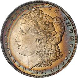 Lot 101 - Lot of TwoToned Battle Creek Morgans