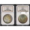 Image 3 : Lot 101 - Lot of TwoToned Battle Creek Morgans