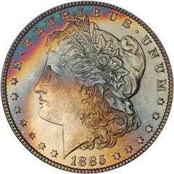 Lot 139 - Lot of Two Toned Battle Creek Morgans