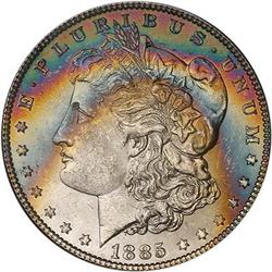 Lot 140 - Lot of Two Toned Battle Creek Morgans